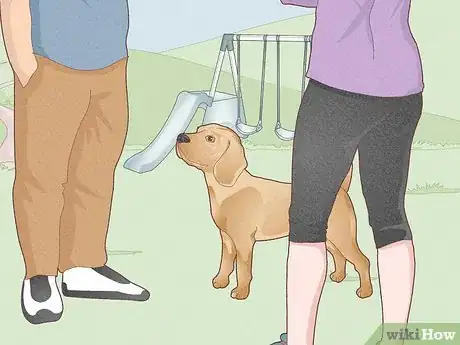 Image titled Take Care of a Friend's Dog Step 1