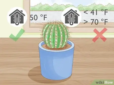 Image titled Grow Golden Barrel Cactus Step 14