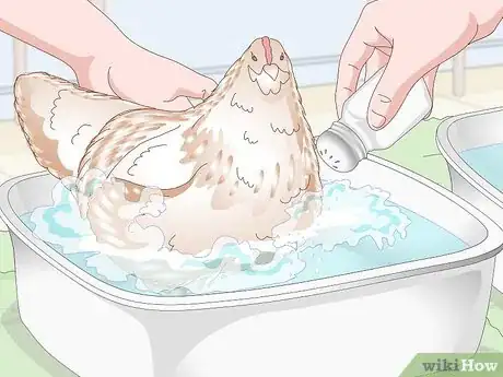 Image titled Bathe a Chicken Step 9