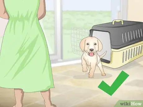 Image titled Potty Train Small Dogs Step 1