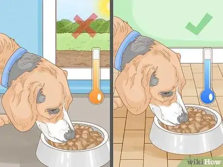 Image titled Get a Dog to Eat Step 2