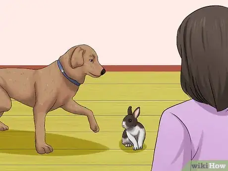 Image titled Introduce a Dog and a Rabbit Step 11