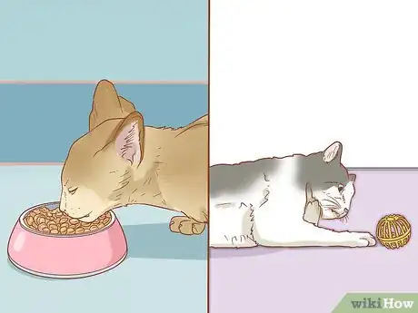 Image titled Take Care of a Cat Step 15