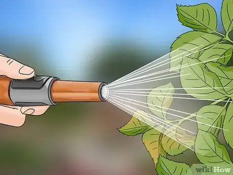 Image titled Control Aphids Step 11