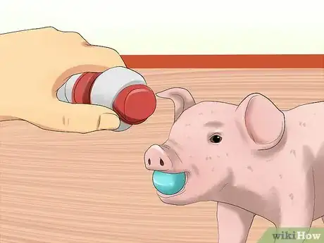 Image titled Play with a Piglet Step 15