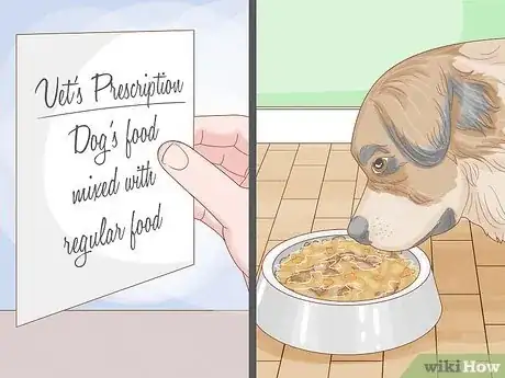 Image titled Get a Dog to Eat Step 7