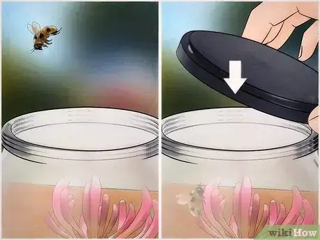 Image titled Catch a Bee Without Getting Stung Step 5