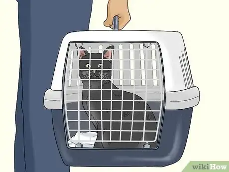 Image titled Travel Train Your Cat Step 11