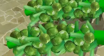 Grow Brussels Sprouts