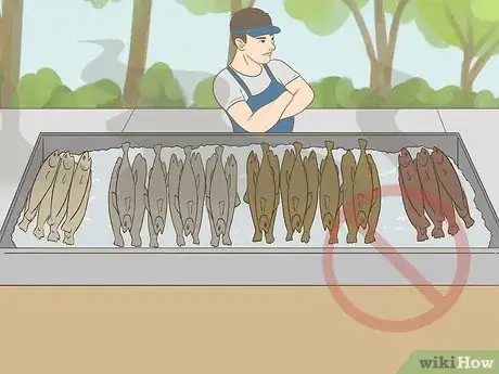 Image titled Buy Fresh Fish Step 11.jpeg