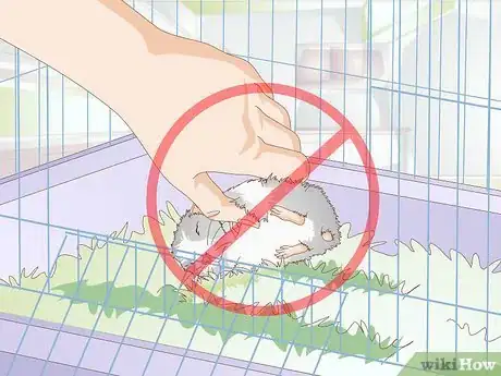 Image titled Get a Hamster to Sleep Step 6