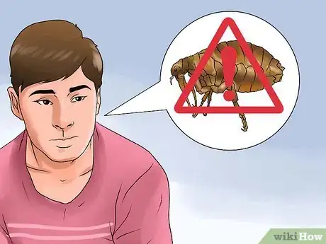 Image titled Rid Your Pet of Fleas Step 1