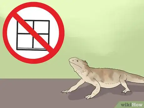 Image titled Train a Bearded Dragon Step 2