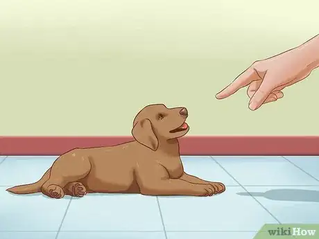 Image titled Train a Deaf Puppy Step 14