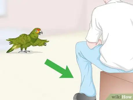 Image titled Deal with an Aggressive Amazon Parrot Step 16