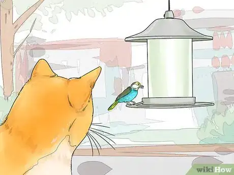 Image titled Change Your Cat's Routine Step 11