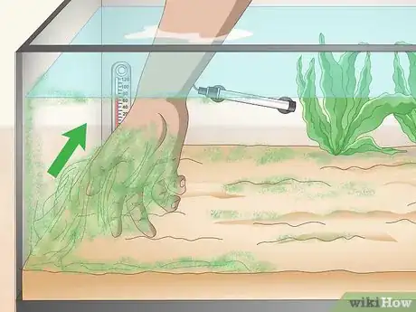 Image titled Troubleshoot Tank Cycling Problems Step 11