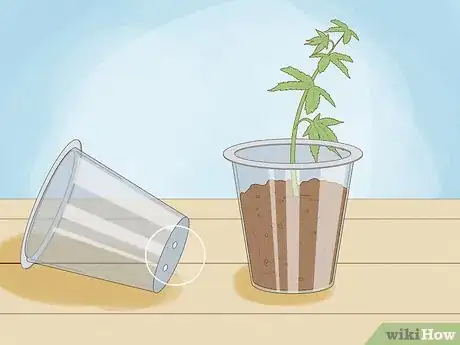 Image titled Grow Medical Marijuana Step 17