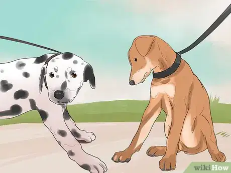 Image titled Train Your Dog to Not Run Away Step 19