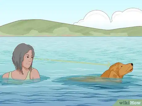 Image titled Safely Introduce Your Dog to Water Step 12