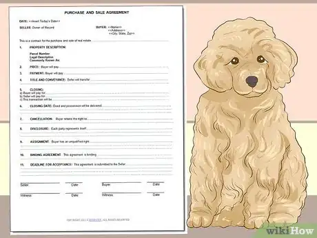 Image titled Choose a Poodle for Breeding Step 2