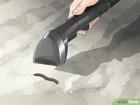 Image titled Get Rid of Millipedes Step 2