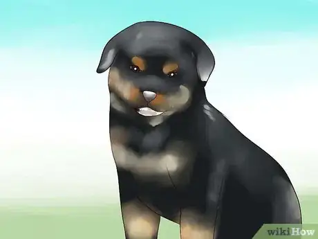 Image titled Train Your Rottweiler Puppy With Simple Commands Step 1