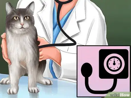 Image titled Give Amlodipine Besylate to Cats with High Blood Pressure Step 8