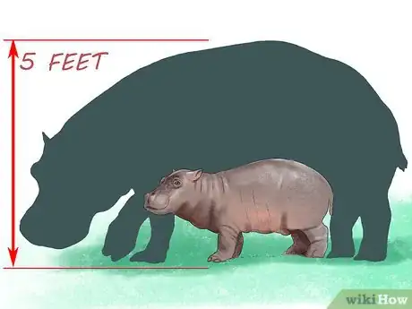 Image titled Deal With a Hippo Encounter Step 12