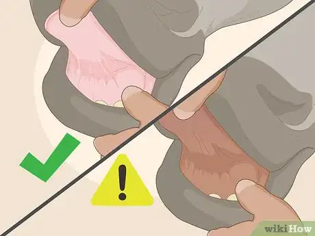 Image titled Know if Your Horse Is Sick Step 6