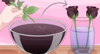 Grow Black Roses