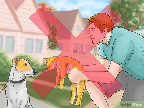 Image titled Make Your Dog Like Your Cat Step 20