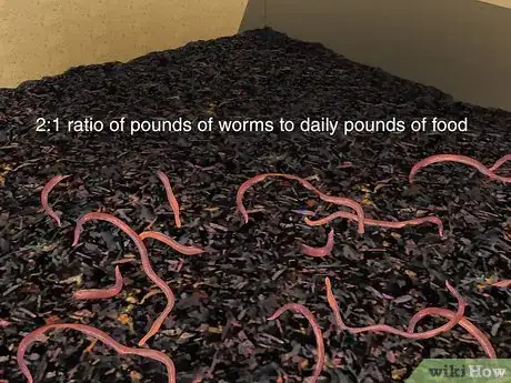 Image titled Start a Worm Farm for Profit Step 5