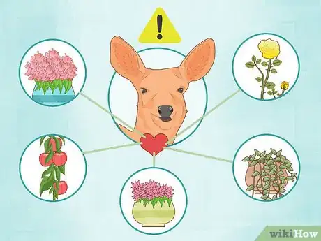 Image titled Get Rid of Deer Step 10