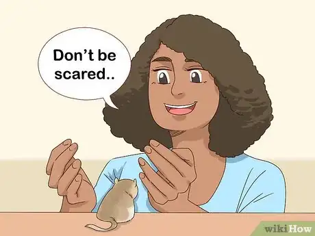 Image titled React when Your Gerbil Bites or Scratches Step 5