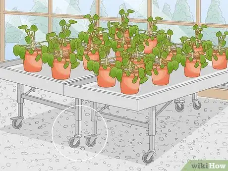 Image titled Arrange the Inside of a Greenhouse Step 17