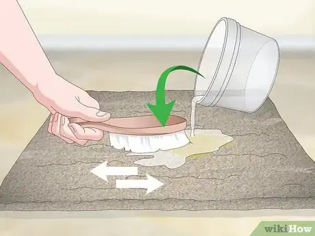 Image titled Remove Old Dog Urine Stains Step 12