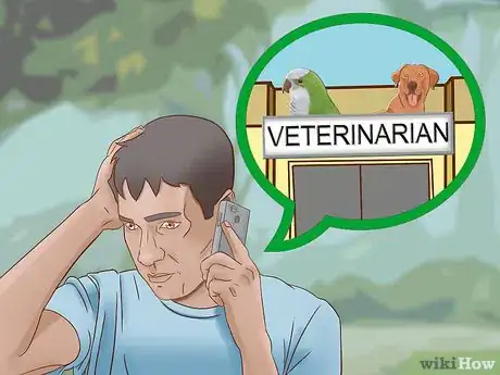 Image titled Protect Small Dogs from Birds of Prey Step 12