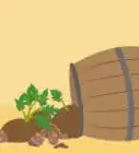 Grow Potatoes in Barrels