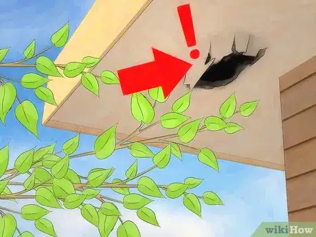 Image titled Get Rid of a Squirrel in Your House Step 14