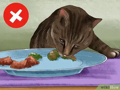 Image titled Feed a Fussy Cat Step 1