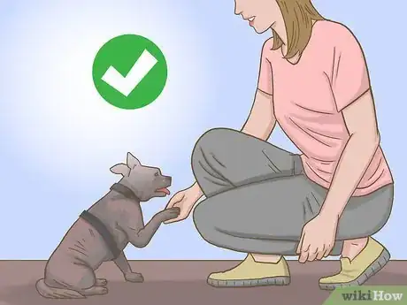 Image titled Be Animal Friendly Step 11