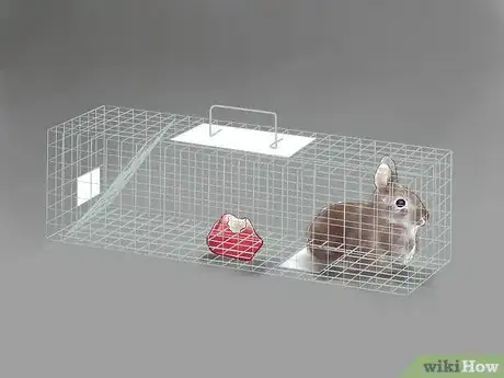 Image titled Get Rid of Rabbits Step 10