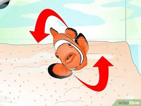 Image titled Tell if Your Fish Is Sick Step 12