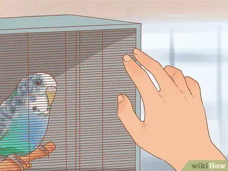 Image titled Teach Your Parakeet to Love You Step 3