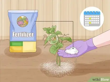 Image titled Grow Cucumbers Step 18