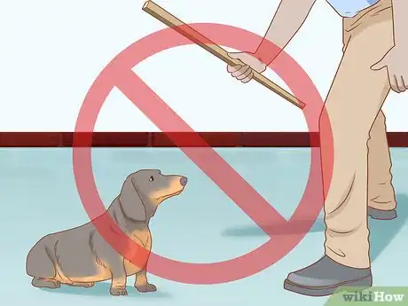 Image titled Treat Your Dog Step 11