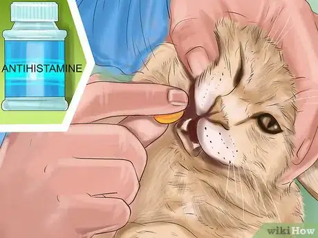 Image titled Diagnose Feline Skin Problems Step 10