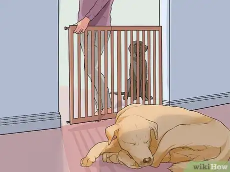 Image titled Handle Sleep Aggression in Senior Dogs Step 5