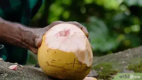 Image titled Open a Coconut Step 14